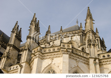 View of the Nantes Cathedral. 123825768