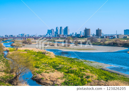 3 月 10 日，日本東京城市景觀…川崎站和武藏小杉站前的多摩川、水禽和高層公寓大樓的景色 = 令和 7 123826205