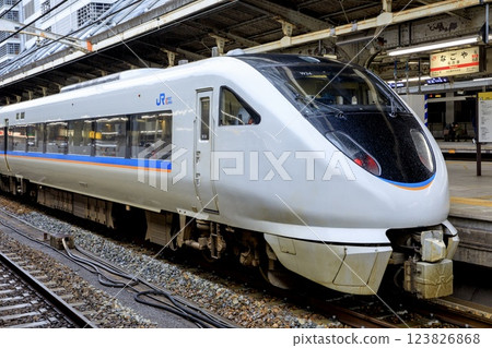683 Series Shirasagi Express (Thunderbird converted train) parked at Nagoya Station in the rain 683 Series Shirasagi Express (Thunderbird converted train) parked at Nagoya Station in the rain 123826868