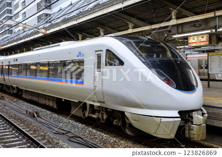 683 Series Shirasagi Express (Thunderbird converted train) parked at Nagoya Station in the rain 123826869