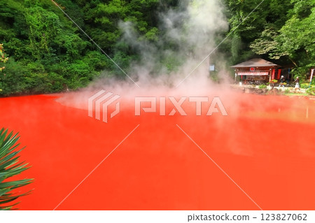 [大分縣]別府地獄之旅（血塘地獄） 123827062