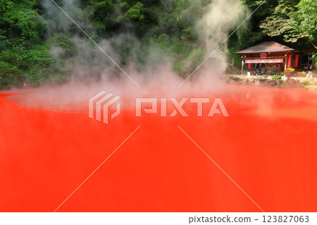 [大分縣]別府地獄之旅（血塘地獄） 123827063