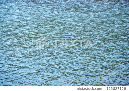 Blue sea Spring sea Water surface Material [Kanagawa Prefecture] 123827126