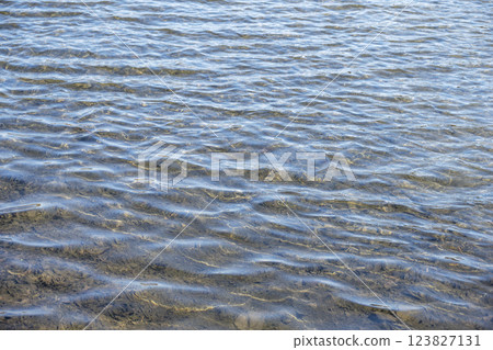 透明的海 春天的海 水面 素材[神奈川縣] 123827131