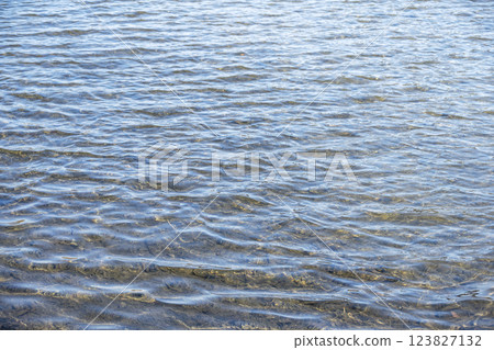 透明的海 春天的海 水面 素材[神奈川縣] 123827132