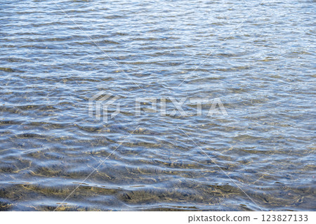 Transparent sea Spring sea Water surface Material [Kanagawa Prefecture] 123827133