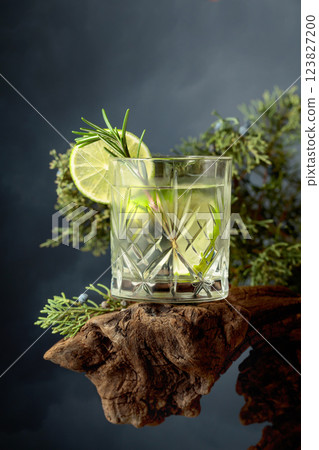 Refreshing hard seltzer with ice, lime, and rosemary on an old snag. Refreshing hard seltzer with ice, lime, and rosemary on an old snag. 123827200