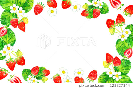 Strawberry frame - Hand-drawn watercolor illustration background material of vegetables and fruits 123827344