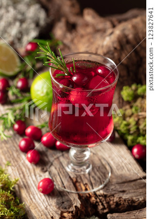 Refreshing cranberry hard seltzer with lime, rosemary, and ice. Refreshing cranberry hard seltzer with lime, rosemary, and ice. 123827641