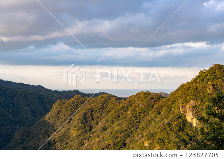 從椿山森林公園眺望的景色（宮崎縣宮崎市） 123827705