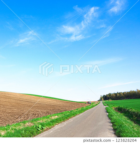 Refreshing scenery in spring in Biei, Hokkaido 123828204