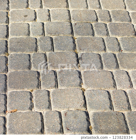 Interlock bricks used for the outdoor pavement 123828334