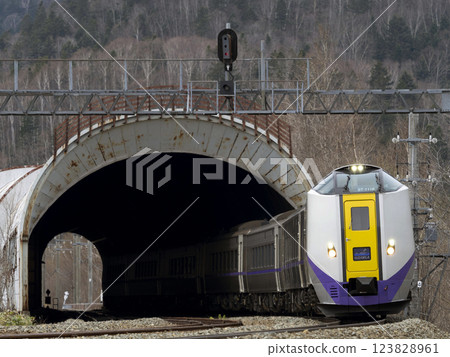 Train passing through the snow shade Train passing through the snow shade 123828961
