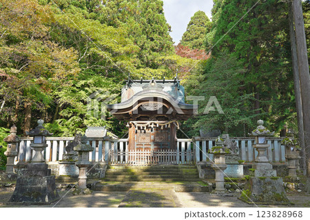 [Okamoto Shrine (Main Hall)] Awatabe-cho, Echizen City, Fukui Prefecture 123828968