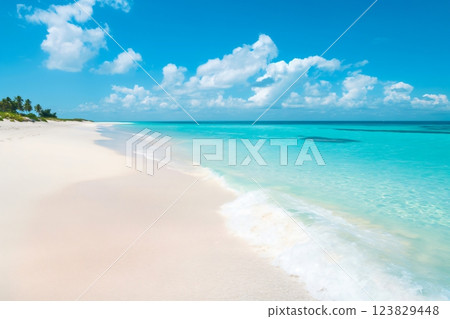 Tranquil and serene tropical beach paradise with pristine white sands. Crystal clear turquoise waters. Fluffy clouds in a clear sky. Untouched coastline Tranquil and serene tropical beach paradise with pristine white sands. Crystal clear turquoise waters. Fluffy clouds in a clear sky. Untouched coastline 123829448