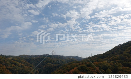 秋山 秋山 123829483