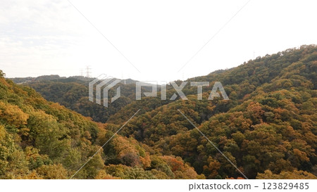 秋山 秋山 123829485