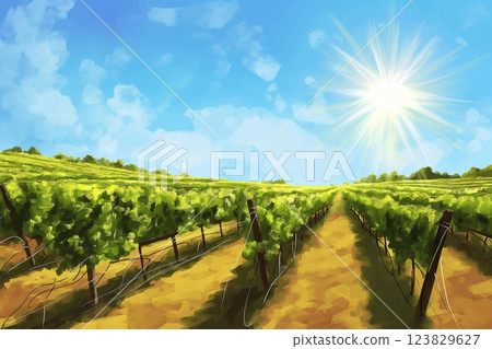 Vibrant and bright sunny vineyard landscape illustration with scenic rows of grapevines, showcasing the serene and rural countryside agriculture and viticulture, under a clear, sunlit sky 123829627