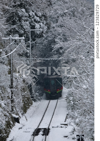 積雪覆蓋的大步危站特快列車 123829729