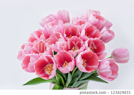 Mothers day, Valentines Day, Birthday celebration concept. Greeting card. Beautiful Bouquet of pink delicate tulips. Copy space for text, top view. Spring background. March 8, International Womens Day Mothers day, Valentines Day, Birthday celebration concept. Greeting card. Beautiful Bouquet of pink delicate tulips. Copy space for text, top view. Spring background. March 8, International Womens Day 123829831