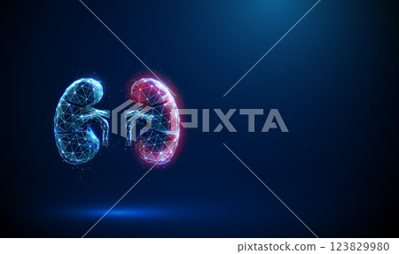 Blue human kidneys with a red surface. Kidney disease, medical diagnosis, technology, artificial intelligence, treatment concept. 123829980