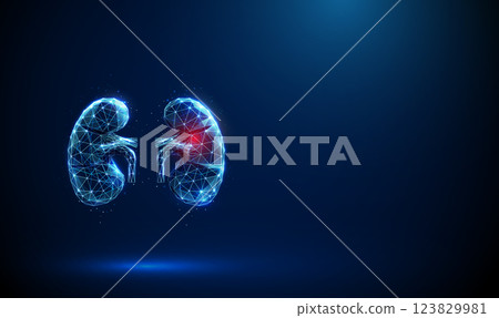 Abstract blue kidneys with red spot. Kidneys deseases, medical treatment and pharmacy concept Low poly style 123829981