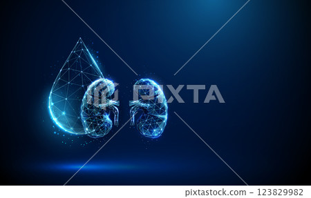 Human kidneys near a glowing water droplet. Medical technology and nephrology concept. 123829982