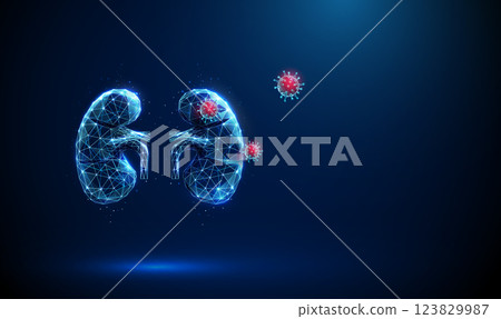 Blue human kidneys wih red viruses flying around. Kidney disease, medical diagnosis, artificial intelligence, treatment, healthcare protection concept. Blue human kidneys wih red viruses flying around. Kidney disease, medical diagnosis, artificial intelligence, treatment, healthcare protection concept. 123829987