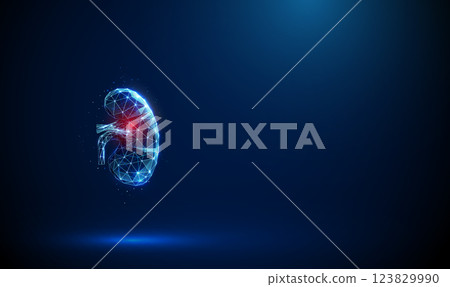 Abstract blue kidney with red spot. Kidneys deseases, medical treatment and pharmacy concept 123829990