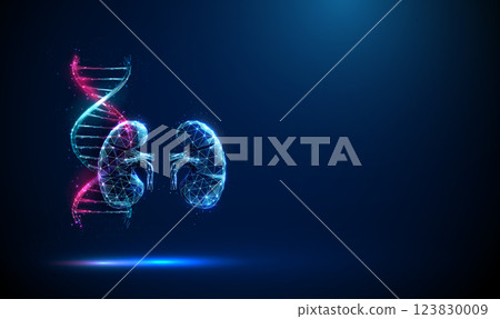 Abstract blue and purple DNA molecule helix and kidneys. Genetic biotechnology engineering concept. 123830009