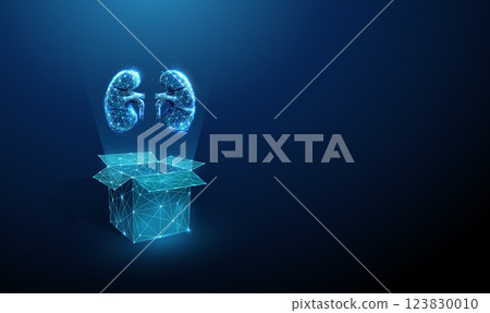 Abstract blue open box and human kidneys. Organ transplantation concept. Low poly futuristic digital technology neon style. 123830010
