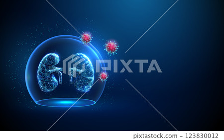 Abstract blue human kidneys inside a glass dome, red viruses outside Neon sphere shield Healthcare protection medical concept 123830012