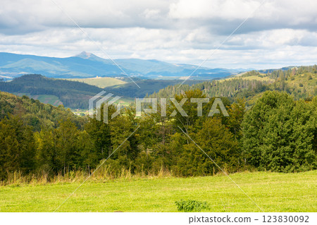 carpathian mountain landscape in dappled light. countryside valley. nature in early autumn. deciduous forest on the grassy hill. watershed ridge with pikui peak in the distance. cloudy sky 123830092