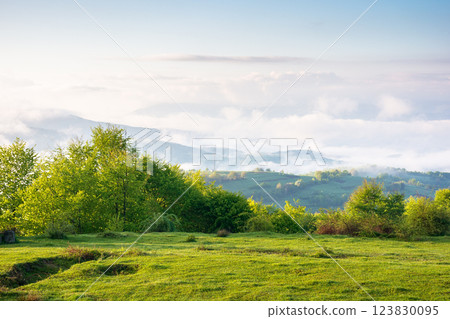 scenic view of nature in fog and clouds. sunny morning. deciduous forest on the hills in spring. rural valley in the distance scenic view of nature in fog and clouds. sunny morning. deciduous forest on the hills in spring. rural valley in the distance 123830095