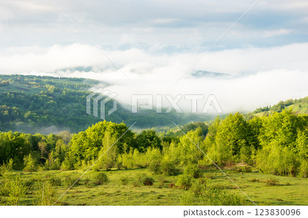 scenic view of nature in fog and clouds. panoramic countryside landscape on a sunny morning. deciduous forest on the hills in spring. rural valley in the distance scenic view of nature in fog and clouds. panoramic countryside landscape on a sunny morning. deciduous forest on the hills in spring. rural valley in the distance 123830096