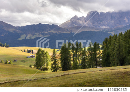 Dolomites Alpe di Siusi, Italy landscape, autumn 123830285
