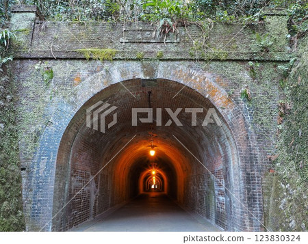 Shizuoka Prefecture, Utsunotani Tunnel (Meiji Tunnel), March 123830324