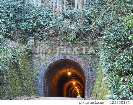 Shizuoka Prefecture, Utsunotani Tunnel (Meiji Tunnel), March 123830325