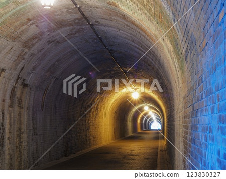 Shizuoka Prefecture, Utsunotani Tunnel (Meiji Tunnel), March 123830327
