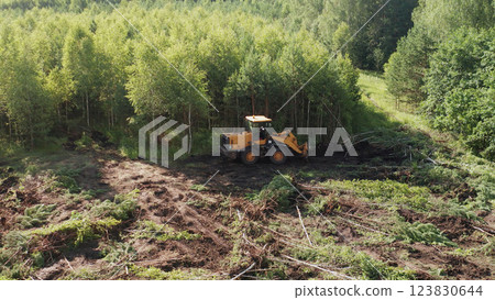 Clearing fields and meadows of small forests. Cutting down trees to clear fields for crops. Uprooting trees, clearing fields. Deforested area and bare spruce trees. Cleared and logged forests in a Clearing fields and meadows of small forests. Cutting down trees to clear fields for crops. Uprooting trees, clearing fields. Deforested area and bare spruce trees. Cleared and logged forests in a 123830644