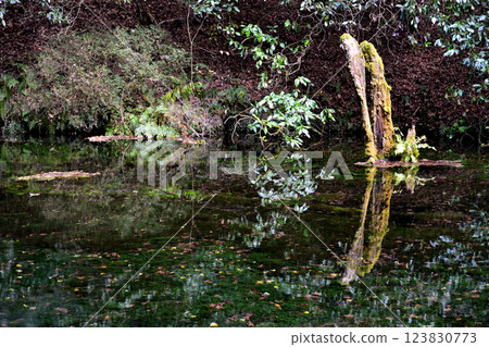 Autumn scenery at Ikeyama Springs, Sanzan Village, Aso District 123830773