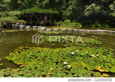 京都平安神社Wolly Bridge 123830782