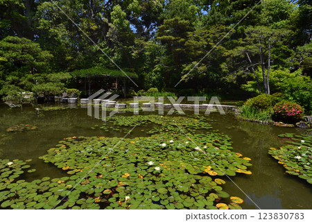 Kyoto Heian Shrine Wolly Bridge 123830783