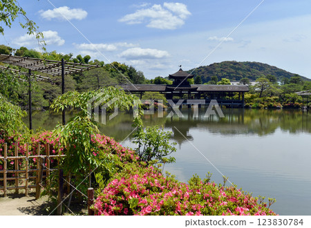 京都平安神宮橋 123830784