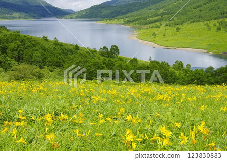 Lake Nozori and the Hemerocallis flower field Lake Nozori and the Hemerocallis flower field 123830883