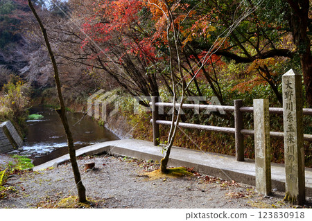 Autumn scenery at Ikeyama Springs, Sanzan Village, Aso District 123830918