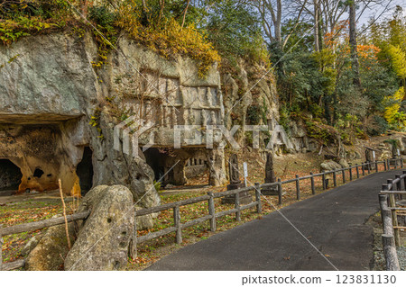 深秋的瑞源寺與洞穴遺跡（宮城縣宮城郡松島町） 123831130