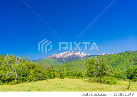 【長野縣】乘鞍高原、一之瀨公園：新綠的散步道 123831147