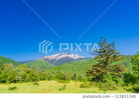 [Nagano Prefecture] Norikura Highlands, Ichinose Park: A walking trail with fresh greenery 123831148