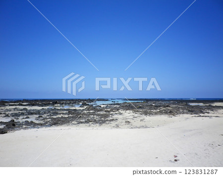 Beautiful black and white contrast on the coast of Lanzarote 123831287